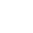 Steam Finishing